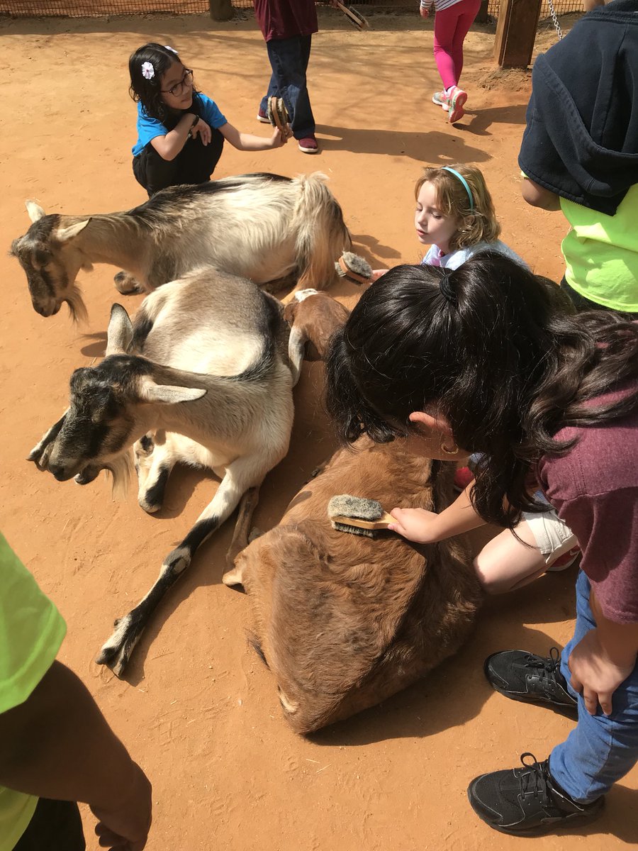 ClassroomLouis's tweet photo. What a great experience! #ZooLife #LifeOfAFourthGrader https://t.co/WqhsPX4Fki
