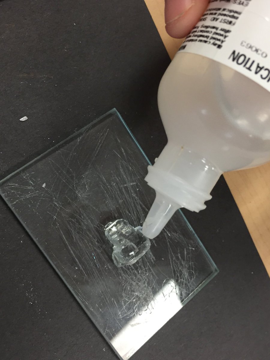 JessicaLineman1's tweet photo. In Science today we conducted an acid test to see how vinegar reacted with different minerals. #sciencerocks #WeLoveEastVincent https://t.co/epOKGKh58f