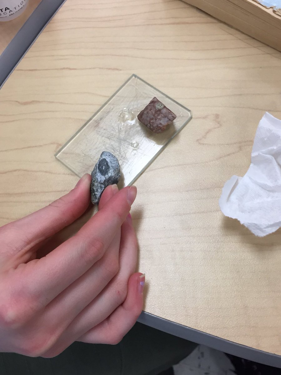 JessicaLineman1's tweet photo. In Science today we conducted an acid test to see how vinegar reacted with different minerals. #sciencerocks #WeLoveEastVincent https://t.co/epOKGKh58f