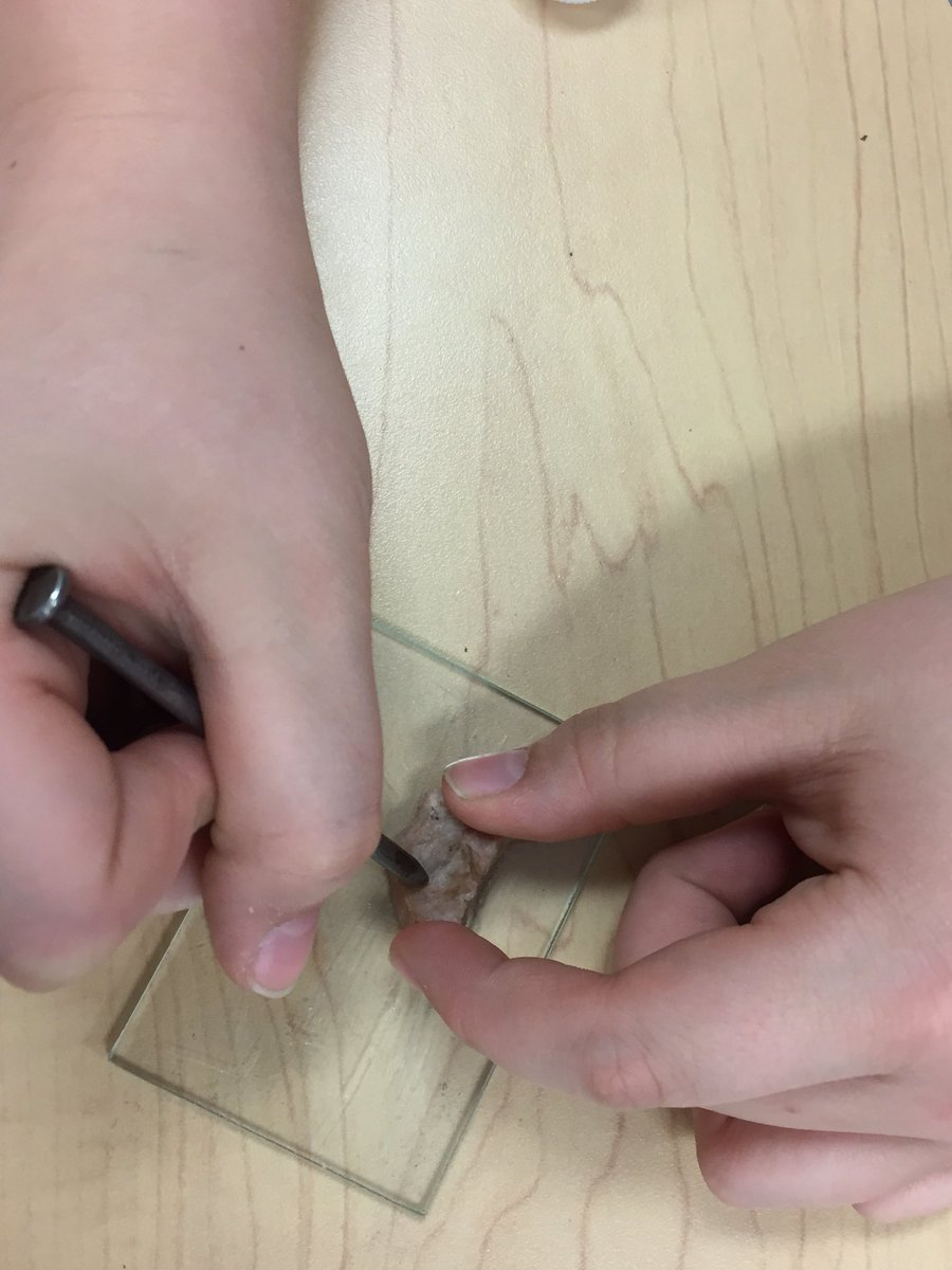 JessicaLineman1's tweet photo. In Science today we conducted an acid test to see how vinegar reacted with different minerals. #sciencerocks #WeLoveEastVincent https://t.co/epOKGKh58f
