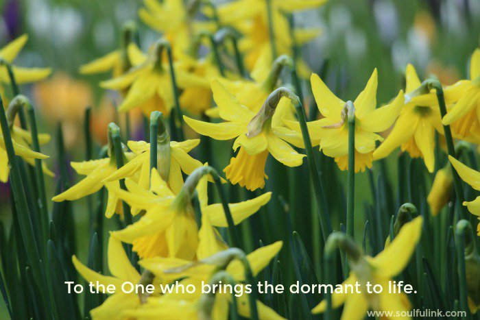 cathysbaker's tweet photo. A spring tea gathering with purpose! https://t.co/oAggizvM6I #soulfulink #kindredgathering #teawithpurpose #faith https://t.co/7CHpz1pT9a