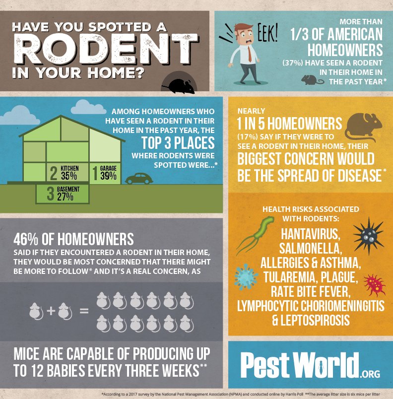 nwexterminating's tweet image. Important facts from our friends over at Pest World regarding unwanted critters in your home! #TheMouse #RodentProblems