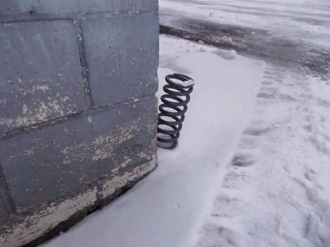nickleconte's tweet photo. Don’t worry Spring is round the corner !! https://t.co/SC6j7aWFKB