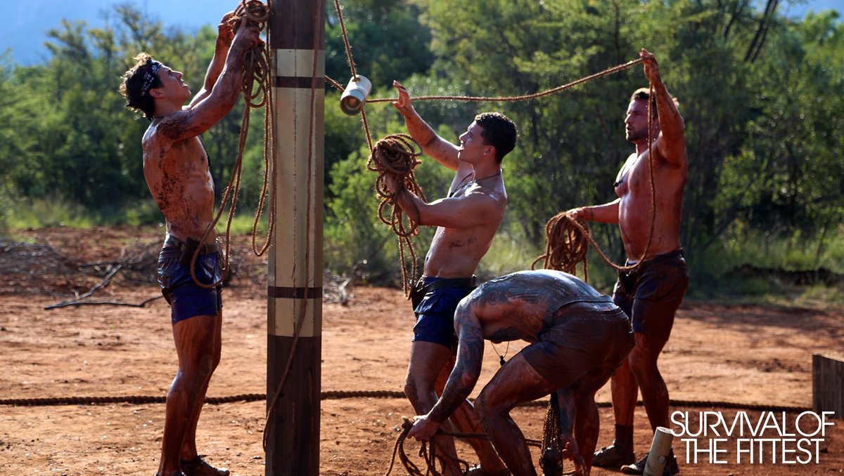 Survival of the Fittest finale: who won ITV2's battle of the sexes?