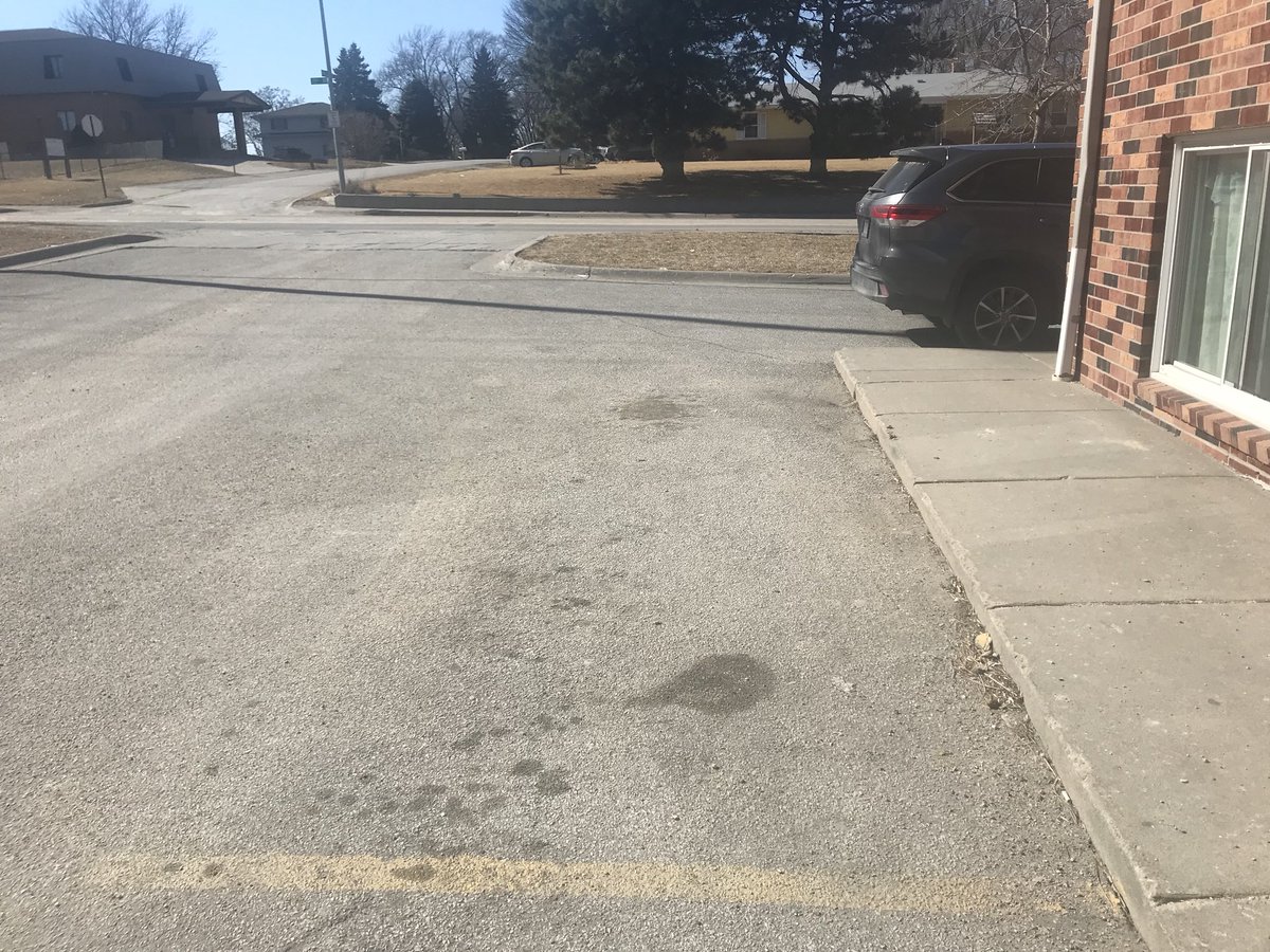 BellevuePolice's tweet photo. Itβs 47Β° out but male still went out and started his car to warm it up and then left it unattended. Guess what happened next.... #NotEvenCold #StopDoingThisPeople Tweeted by @OfcVest https://t.co/7CXUQMSAGJ