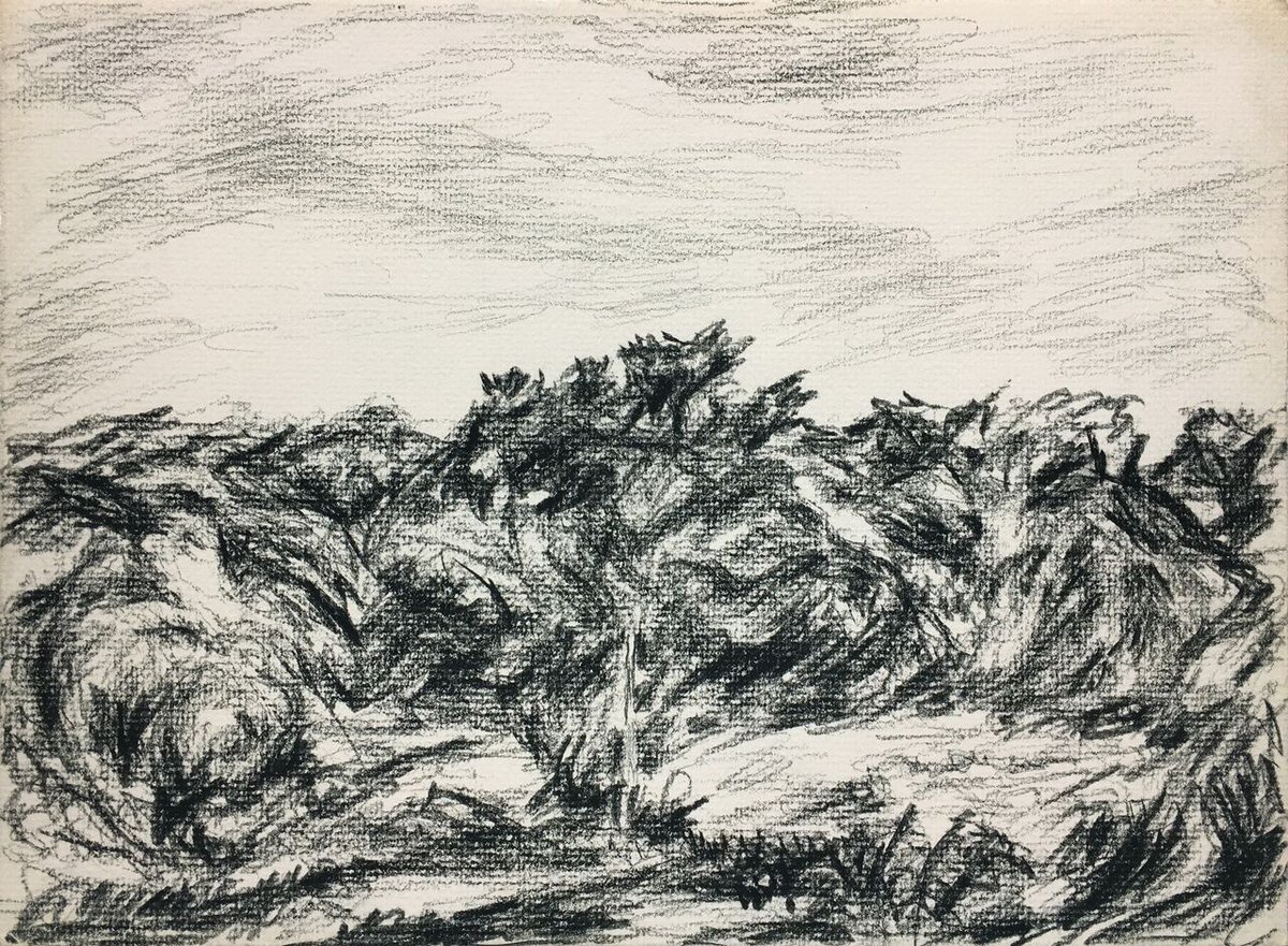 The_ADAA's tweet photo. See: Landscape Drawings by Myron Stout @Washburn_177 at #TheArtShowNYC @ParkAveArmory - the 1st solo exhibition of works by Stout devoted to this subject. https://t.co/cr2hmbvYCw