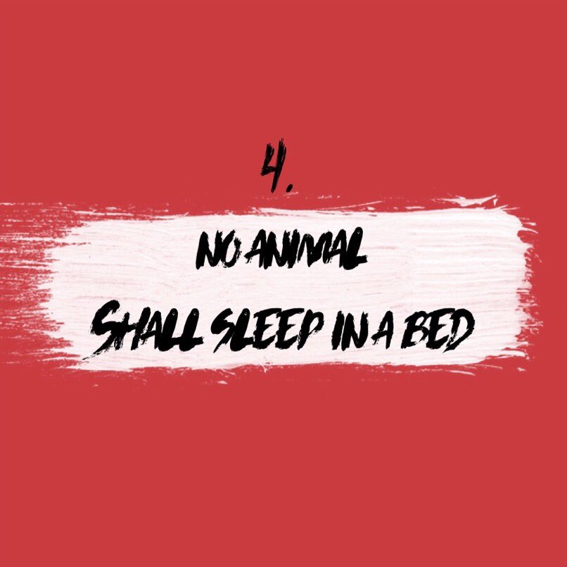 sshsAnimalFarm's tweet image. "A unanimous resolution was passed on the spot that the farmhouse should be preserved as a museum. All agreed that no animal must live there." #Commandment4