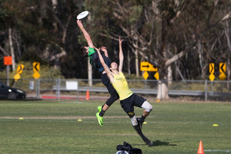 Ultiworld's tweet photo. Stanford Invite 2018: Tournament Preview (Men's) -> https://t.co/pOIySwSAho [Pres. by @SpinUltimate] (Photo: @UltiPhotos) https://t.co/IvdyvICSjM