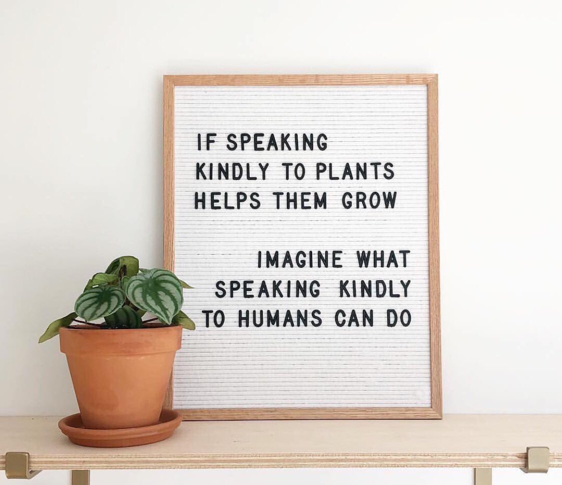 Be Kind Y’all tweet media