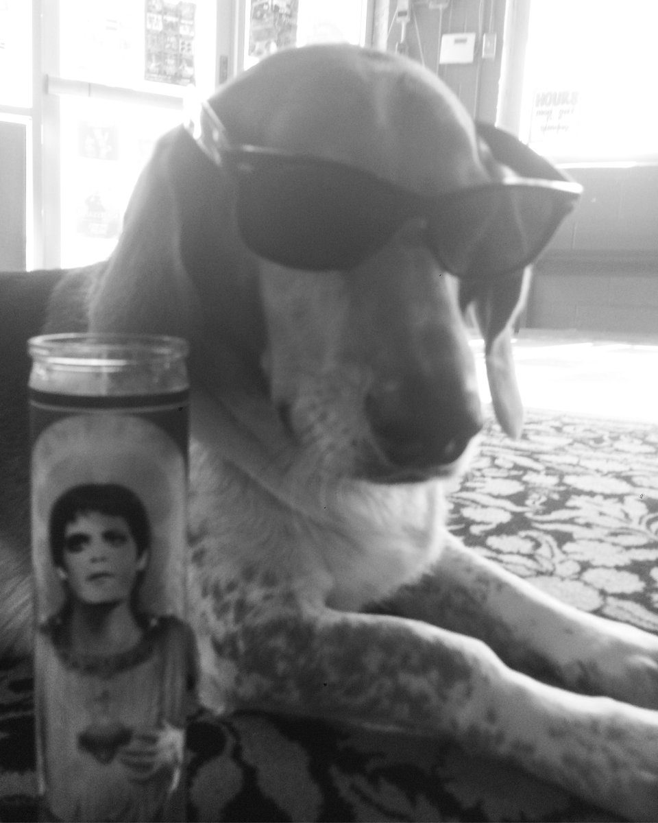 Lou Reed is pretty lucky to share a birthday with this cool pup today! Come listen to VU with us and give Jasper some b-day belly rubs.