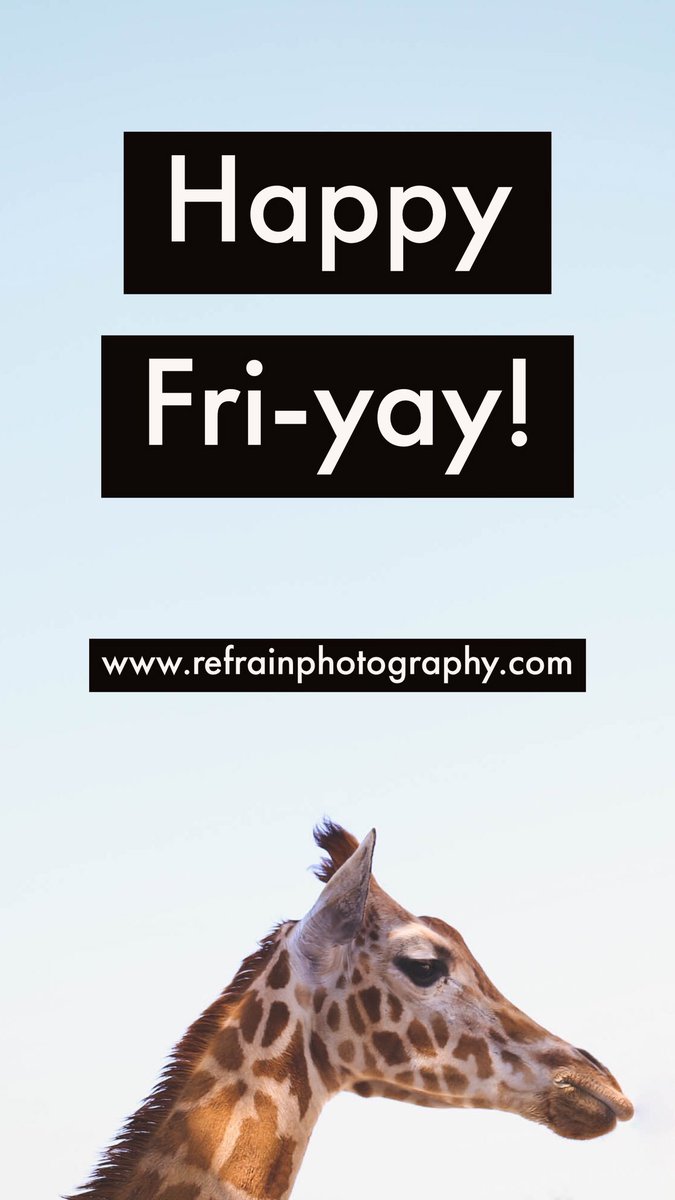 RefrainPhoto's tweet photo. https://t.co/JKid3q0yle