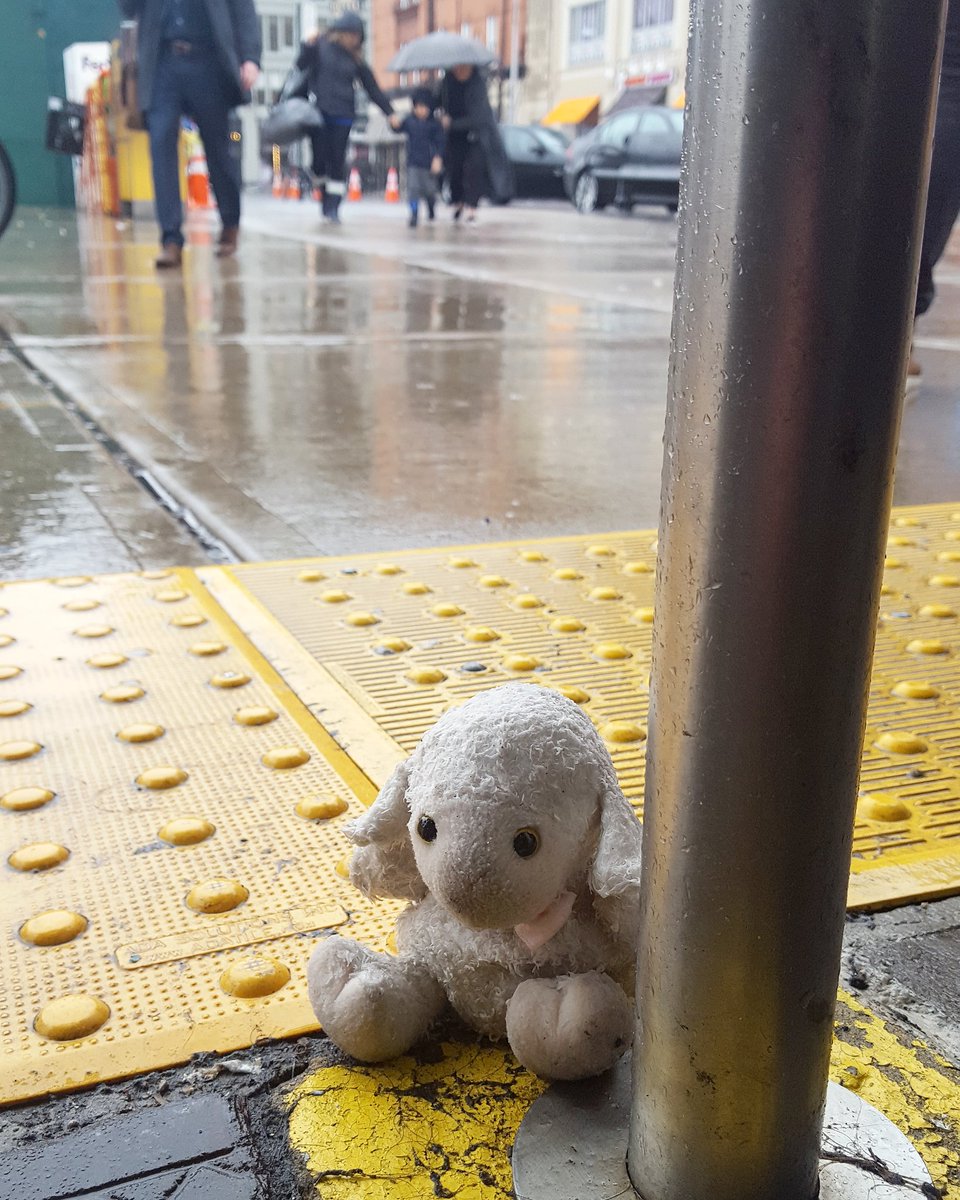 JenKimCreative's tweet photo. Sad! Its so terrible out. Hope this little lamb is found and taken to a warm home. #hoboken #hobokenpath #lostinhoboken #findme #haveyouseenme https://t.co/e8DbXBfbFH