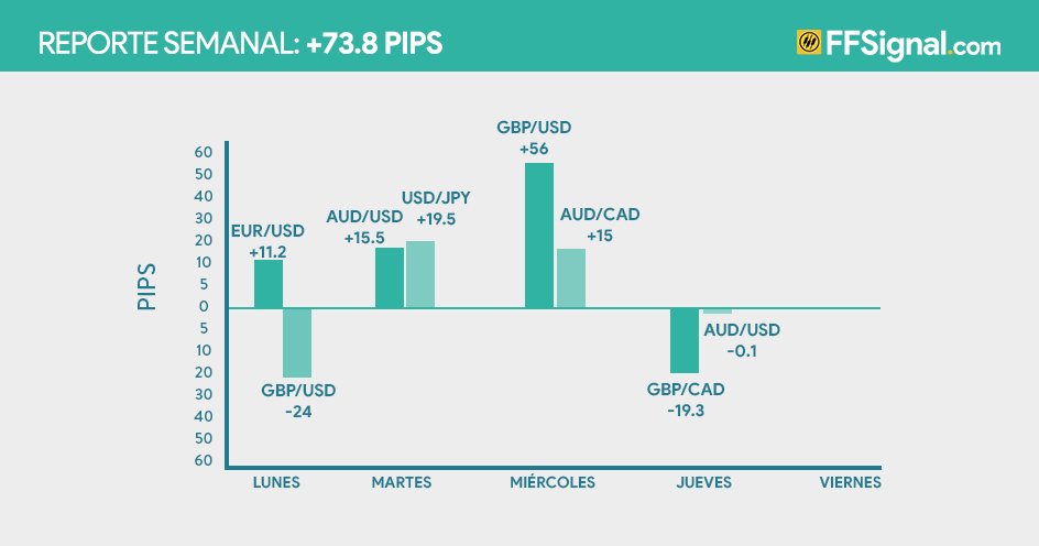 FFSignal's tweet photo. Resultado Semanal de nuestro #CopyTrading asciende a +73.8 pips. Descarga la app en android https://t.co/A7bOLK5bDA https://t.co/wmIhJnNfTt
