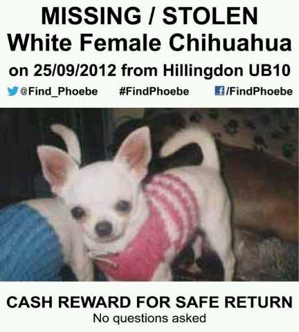 PawsForAll tweet media