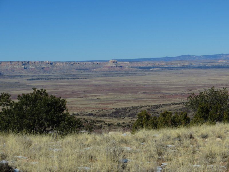 NewMexicoNomad tweet media