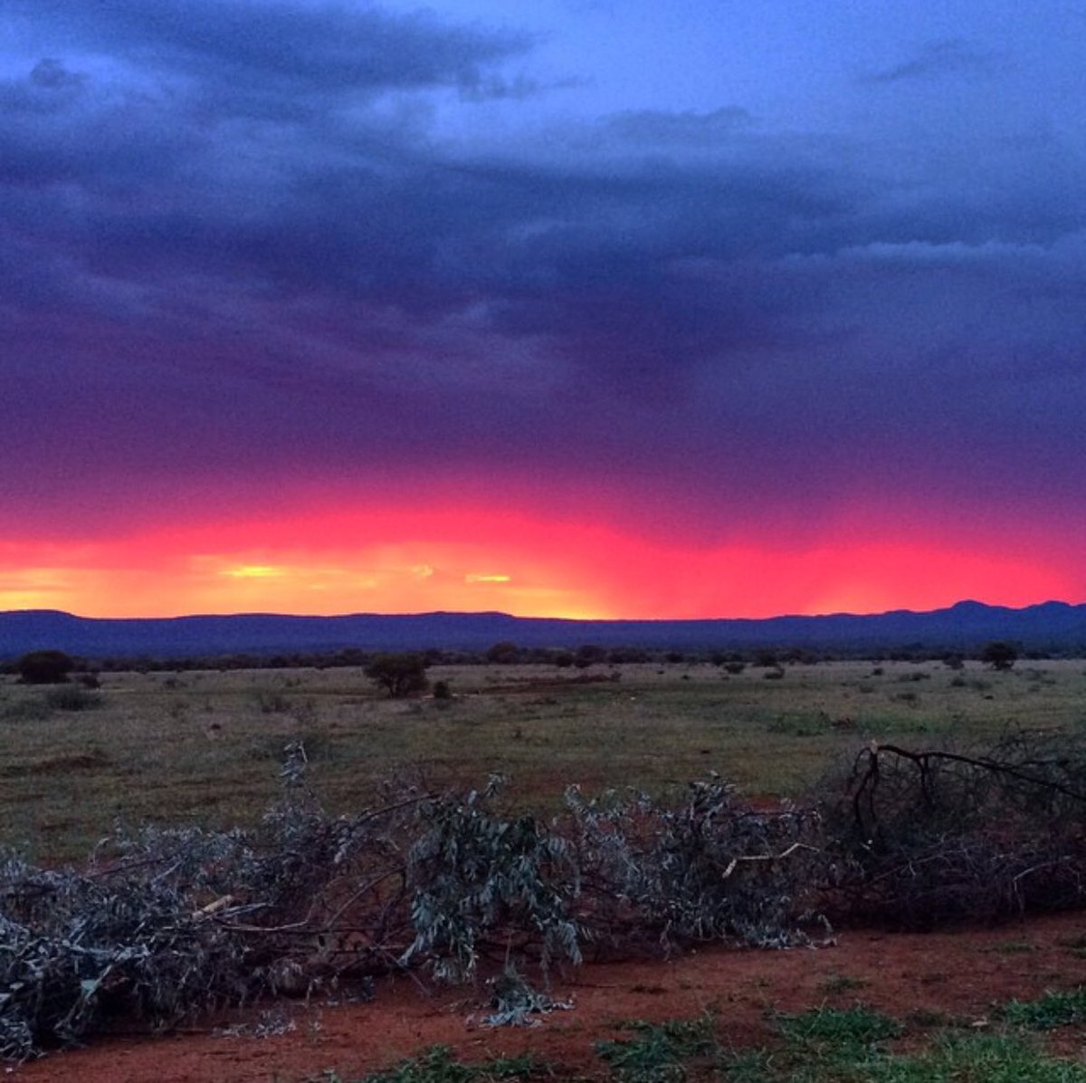 PRGameBreeding's tweet image. Magnificent sunsets over the @madikweconservancy .... 🙏🏼💙 #PurpleRainGameBreeding
#PurpleRainGameBreedingInformation
#PurpleRainGameBreedingSouthAfrica
#GameBreedersSouthAfrica
#GameBreedersLimpopo
#MadikweConservancy
#Sunset
#FloraAndFauna 
#Africa
#Wanderlust
