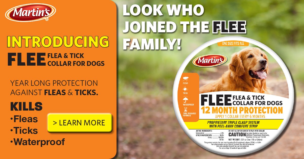 MartinsBrand's tweet photo. Look Who Joined the FLEE® Family! INTRODUCING FLEE Flea &amp; Tick Collar for Dogs. #fleacollar #fleaprotection #newproducts #martinsbrand https://t.co/c0HXinpE7E