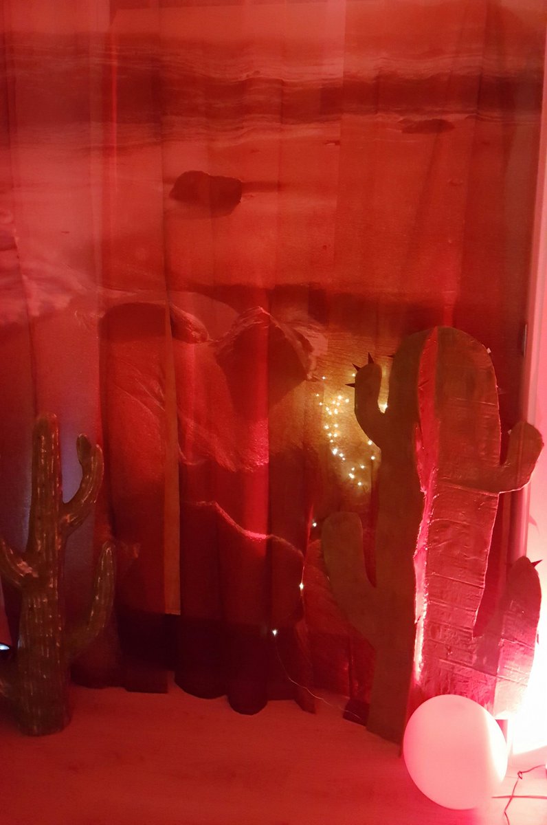 Meine kleine Kaktus ecke🤗😍😎🏜