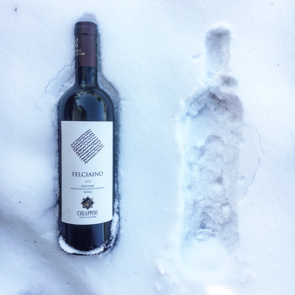 chiappiniwinery's tweet photo. Snowing day in Bolgheri 
#snow #winelovers #winery #bolgheri #vineyard #tuscany #winter #wine #winemaker #winetasting #vino #felciaino #vigna #neve #toscana #wineforlife #igertoscana #vinoperpassione https://t.co/FdDjAkml0l