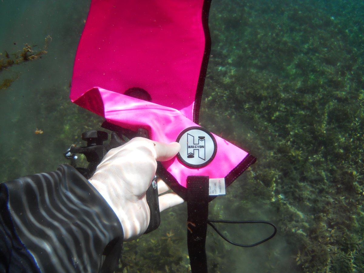 HalcyonDiveSystems tweet media