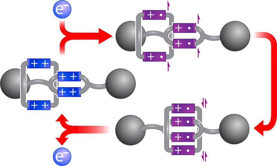 Fraser Stoddart (@sirfrasersays) on Twitter photo A diradical macrocycle plays a double role as a speedbump & recognition site in our new Ring-in-Ring Rotaxane. Our <a href="/ACSCentSci/">ACS Central Science</a> article describes how these features induce electronic hysteresis in this molecular nanoswitch: pubs.acs.org/doi/10.1021/ac… <a href="/NUChemistry/">Northwestern Chemistry</a> <a href="/yupingwang17/">Yuping Wang</a> A diradical macrocycle plays a double role as a speedbump & recognition site in our new Ring-in-Ring Rotaxane. Our <a href="/ACSCentSci/">ACS Central Science</a> article describes how these features induce electronic hysteresis in this molecular nanoswitch: pubs.acs.org/doi/10.1021/ac… <a href="/NUChemistry/">Northwestern Chemistry</a> <a href="/yupingwang17/">Yuping Wang</a>