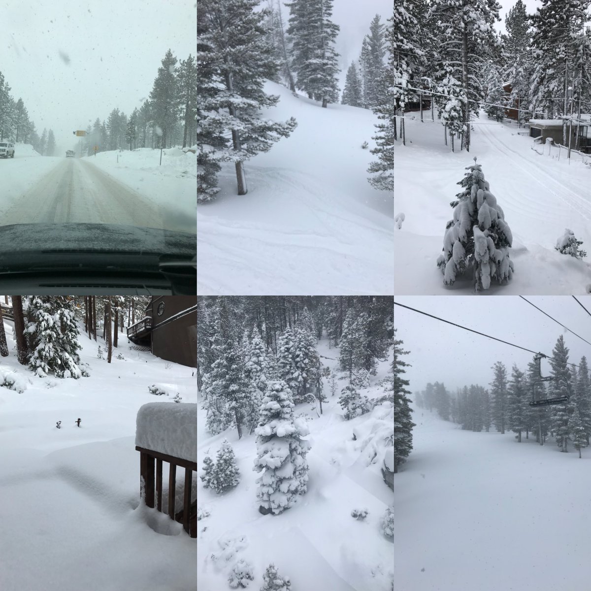 Serious pow in #Tahoe ⛷couple feet @ lake level, 3-4’ @ #heavenlyskiresort. Wind chill brutal up top, glades were deep 🌲#cawx #miraclemarch