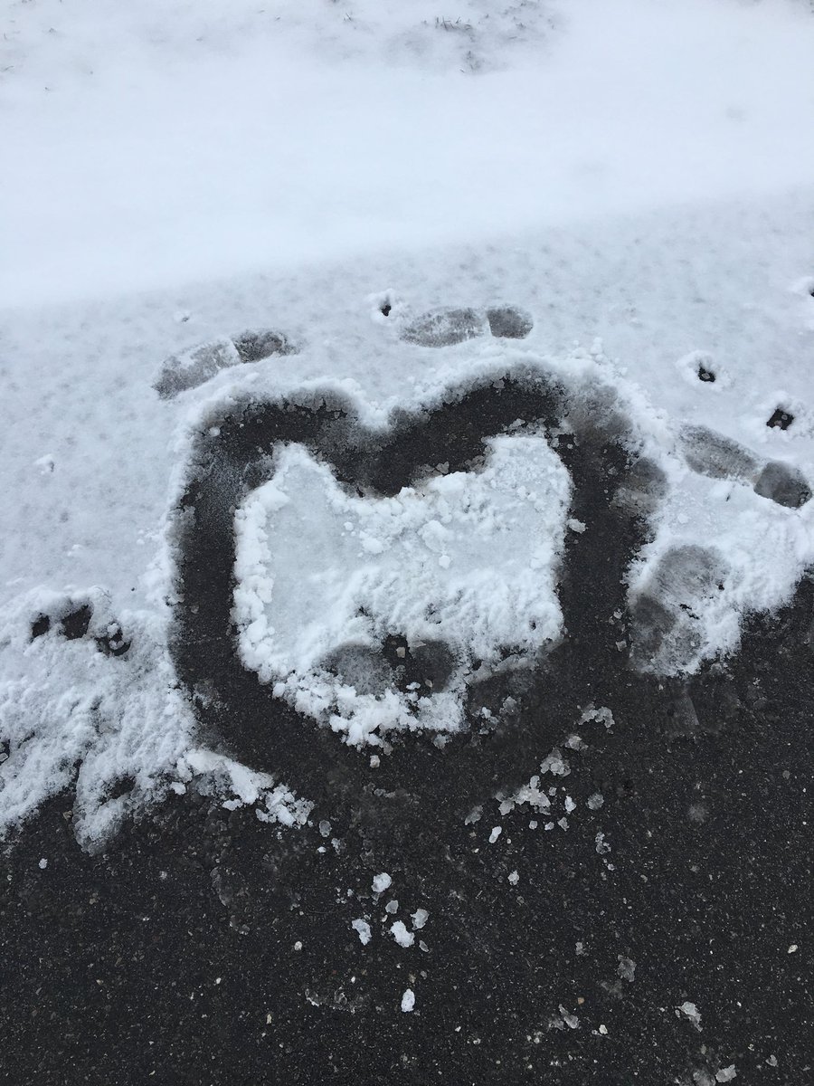 melanie_korach's tweet photo. One of my students called me over this morning while I was on yard duty to share this with me. He said, โYou teach us from the heart so I made you a heart!โ โฅ๏ธ#StarfishClub #ChooseKind #KindnessUnleashed #igniteyourSHINE https://t.co/G9vOy8tomL