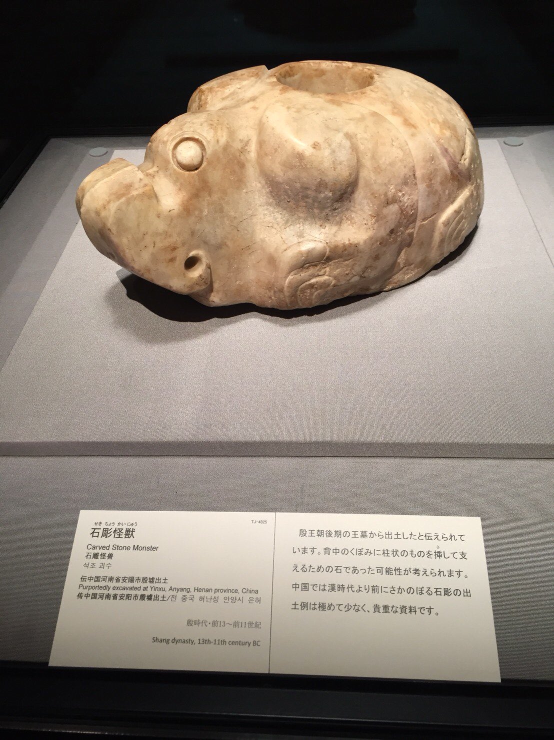 殷王朝 Twitter Search Twitter