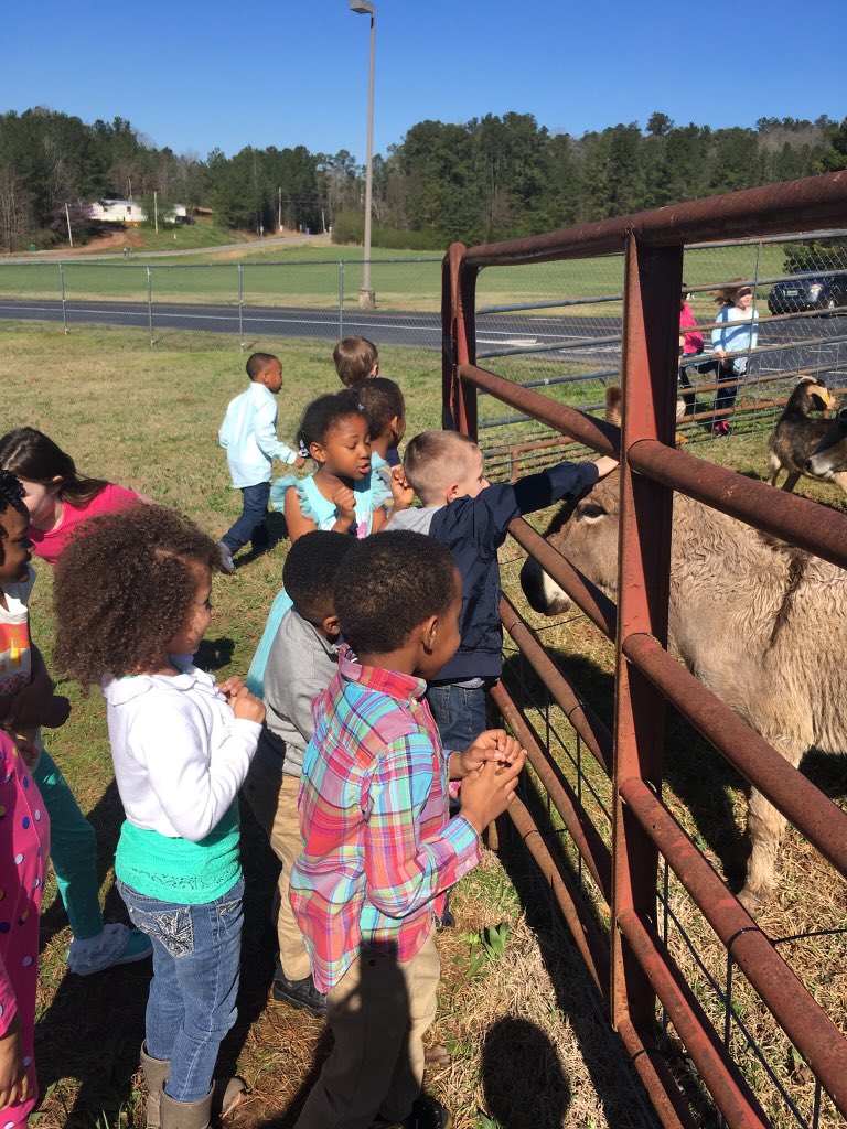 Beverly Humber tweet media