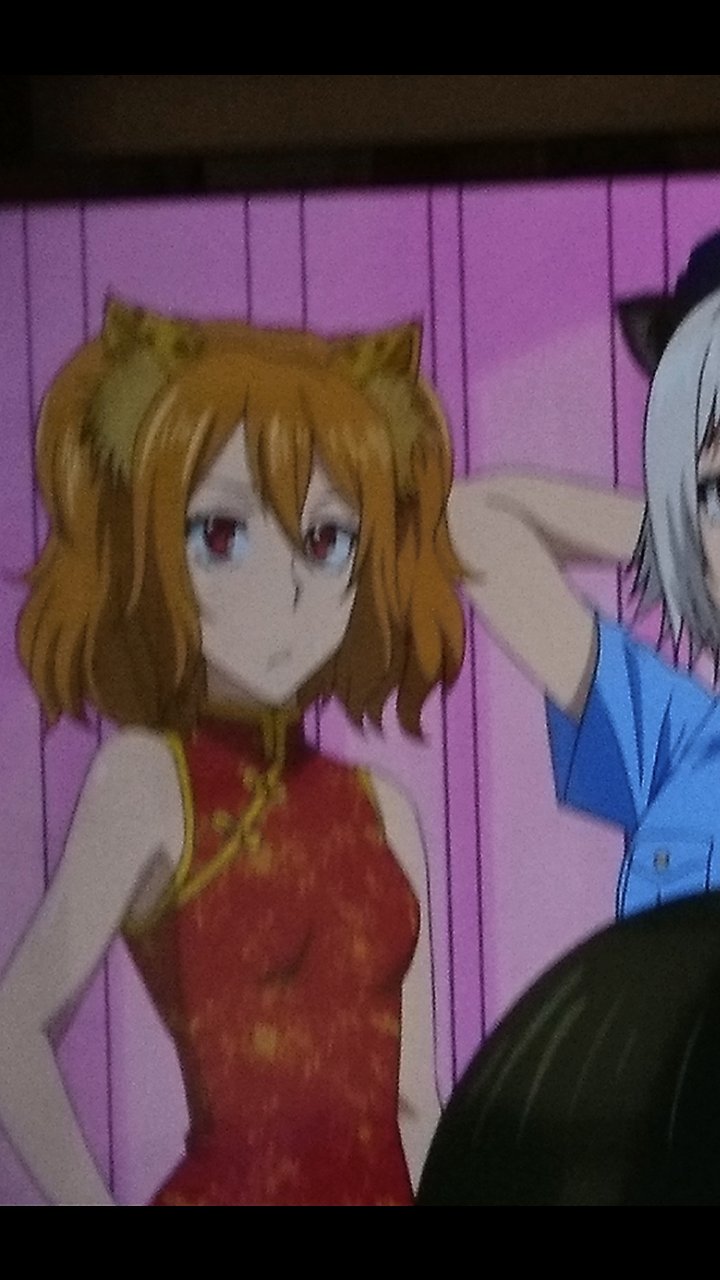 Genki キリングバイツ チャイナ獲座さん 超可愛い キリングバイツ チャイナ獲座 中西獲座 内田真礼 チャイナ 村田真哉 隅田かずあさ ライデンフィルム 獣人