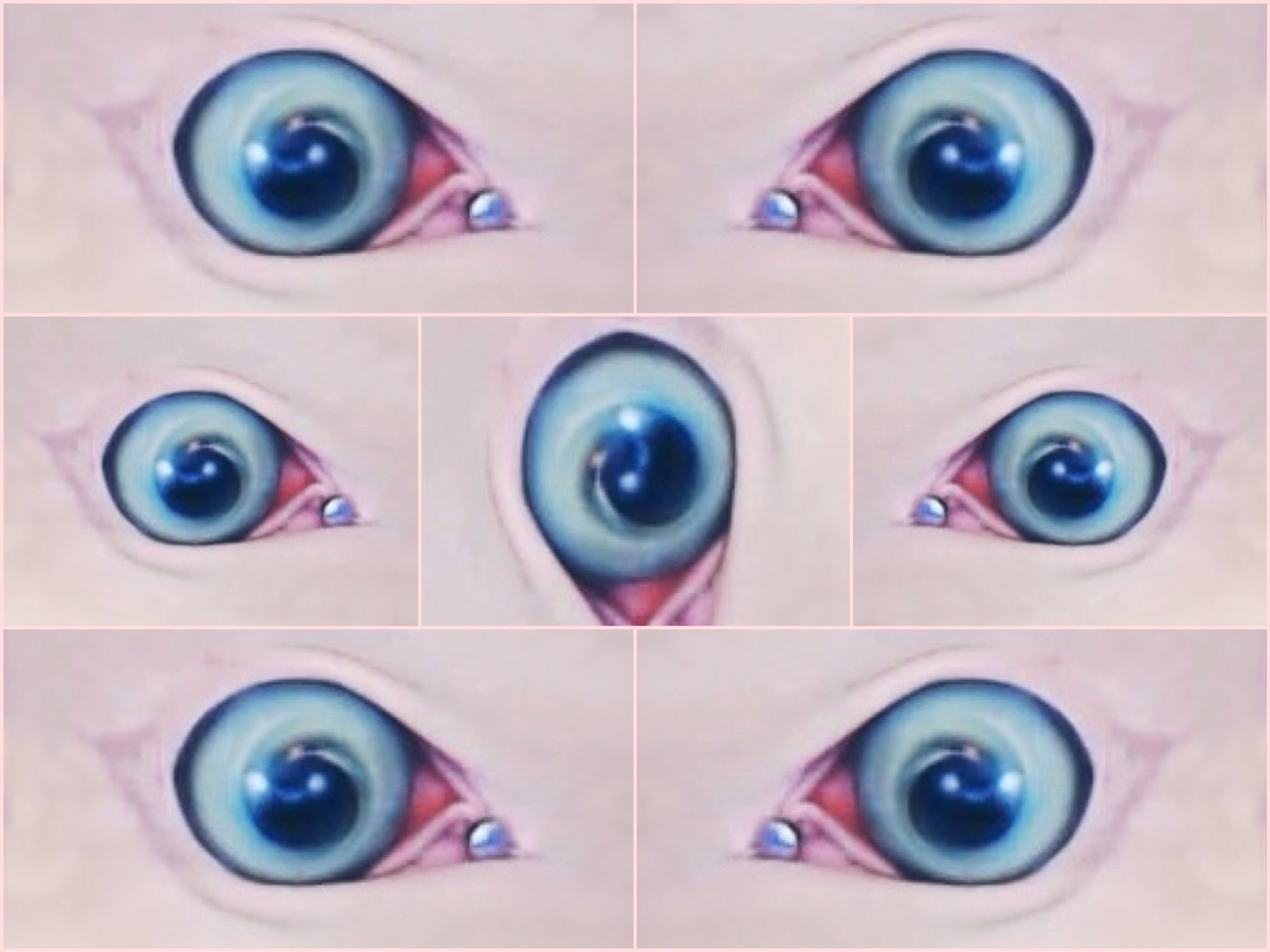 3 pic. I’m having a lot of fun with this picture of my vagina. Are you triggered yet? #nightmarefuel https://t.co/YipEWKWvXV
