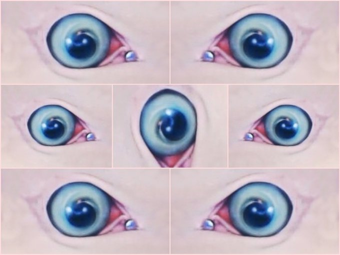 Ruby Rapture 🦋 - 3 pic. I’m having a lot of fun with this picture of my vagina. Are you triggered yet? #nightmarefuel https://t.co/YipEWKWvXV
