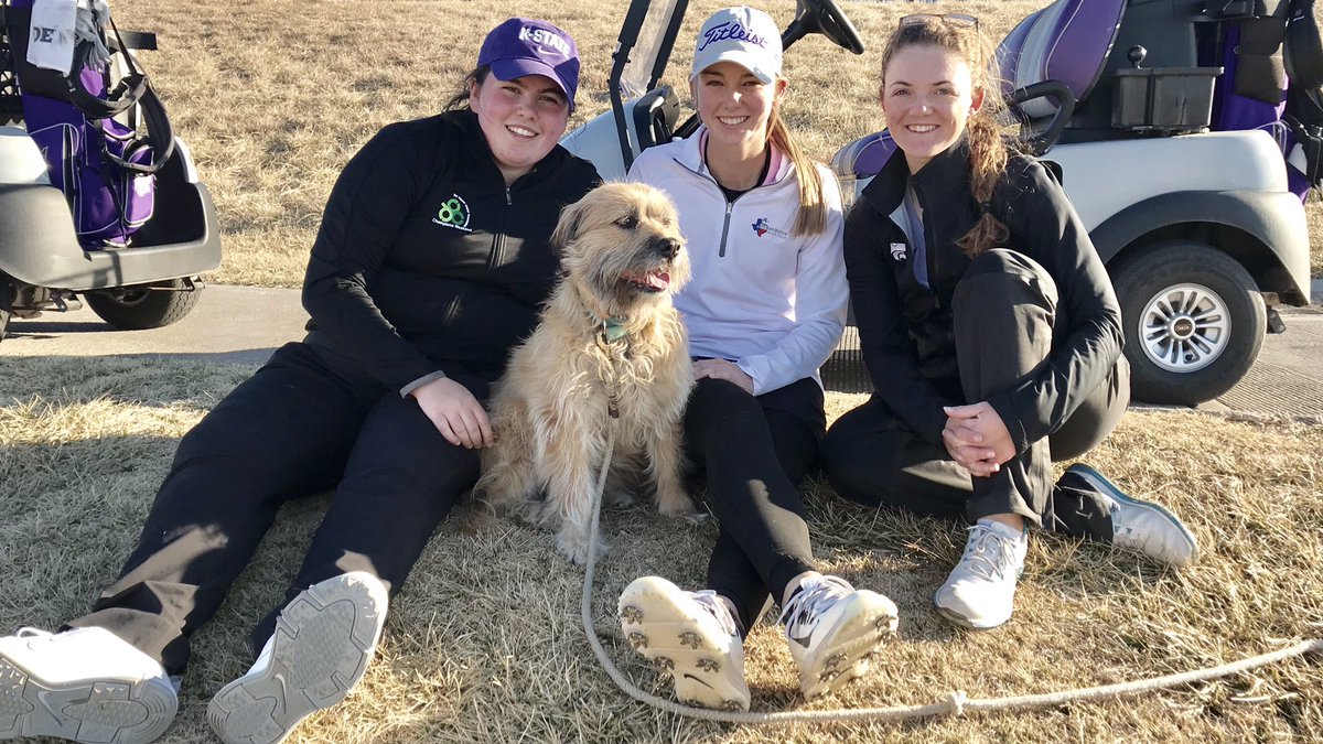 KStateWGolf's tweet photo. Cats and dog(s). ♥️😺🏌️‍♀️#kstatewgolf https://t.co/nKbJlgGgtp