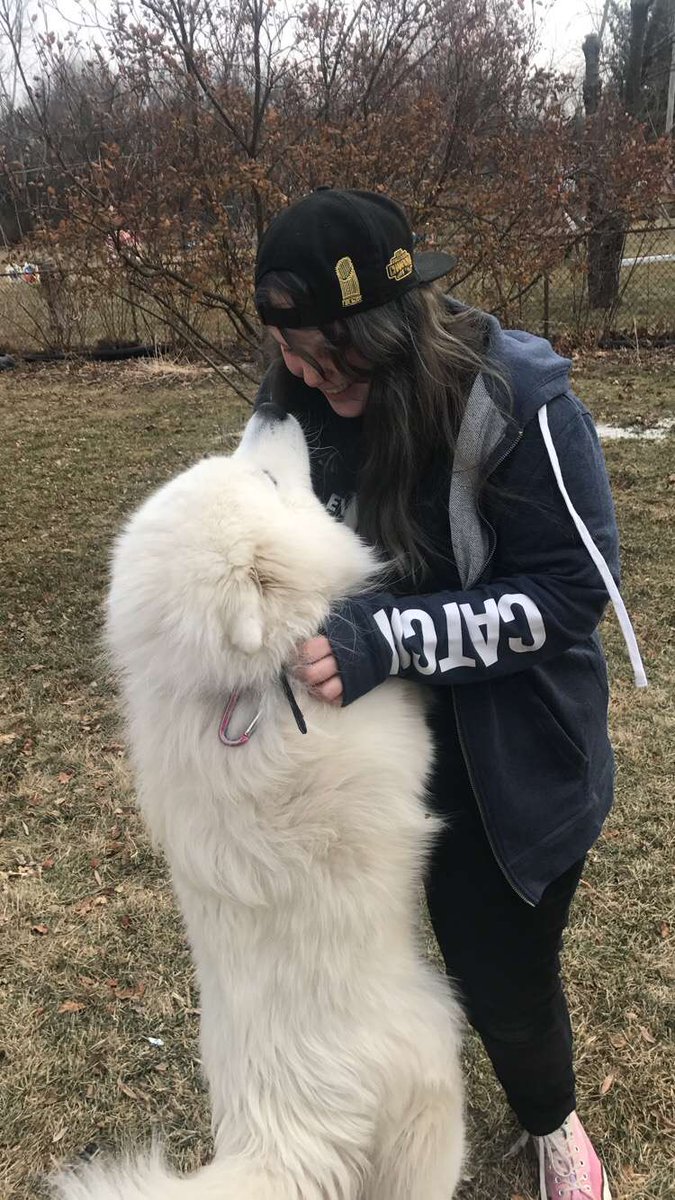 taintedbljss's tweet photo. @BeggingWiIk here's ghost playing with me he's so friendly https://t.co/0RC2DSJ8R5