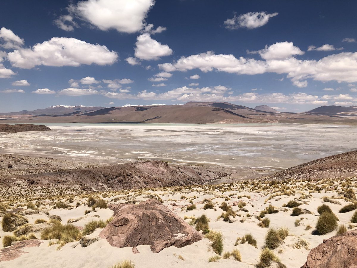 farmerjayplot's tweet image. Rolling down the Bolivian Salt Flats at 16,000 feet raging #itsnotus and #zonkey. @goldlikejoel @umphreysmcgee