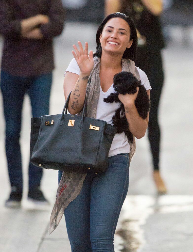 mendesxdemii's tweet photo. RT  TO VOTE!! @ddlovato #Batman #CutestPet #iHeartAwards https://t.co/KlZygEOaDu