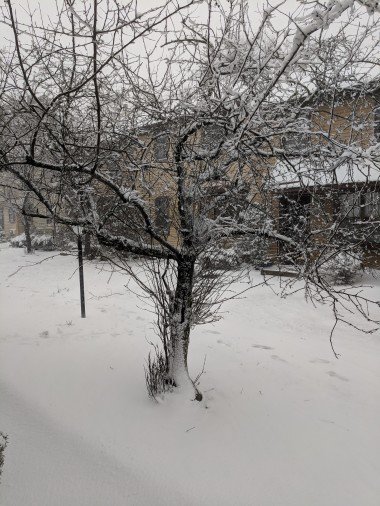 Can you make margaritas with snow? Asking for a friend.