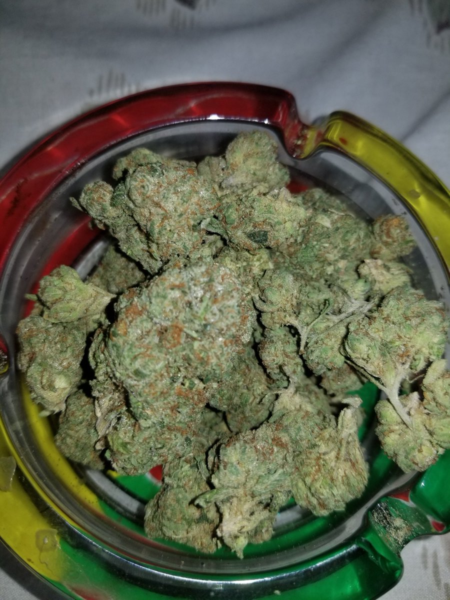 ThisIsOhHailNo's tweet photo. Smoke this shit https://t.co/7Y14IgLe70