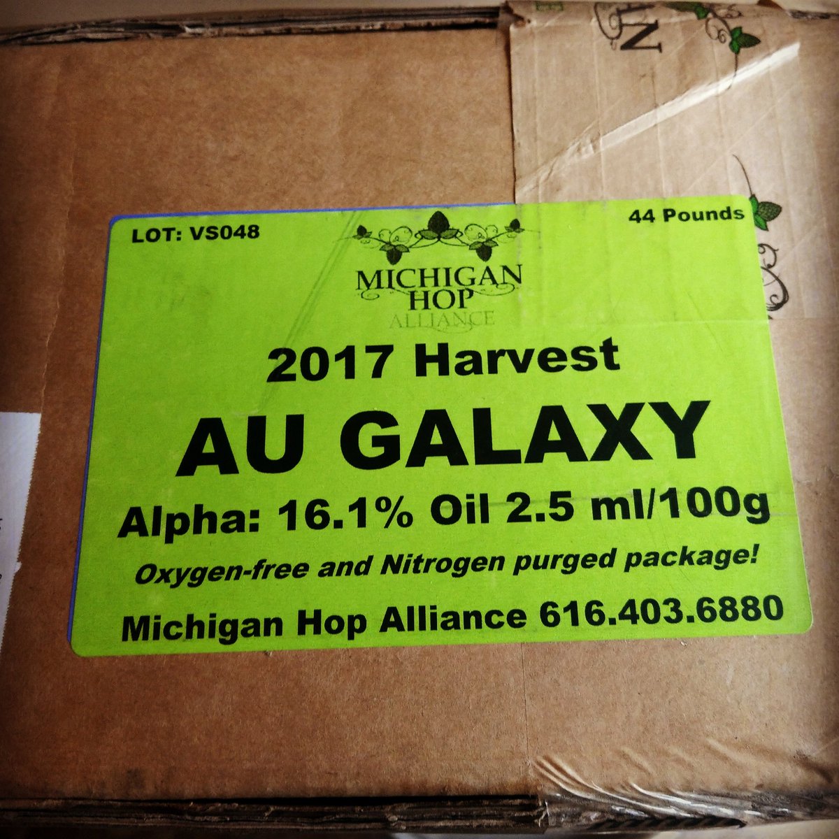 Brewwana's tweet image. RT BlueTarpBrew: Hope arrived. New beer coming soon. #Kilonova #DIPA #hopped with #Galaxy Mosaic and Citra hops! 4.5lbs of hops per BBL. #TarpLife
.
.
#newbeer #GABeer #craftbeer #DIPA #IPA #decaturga #atl #Atlanta #hopsfordays #5years