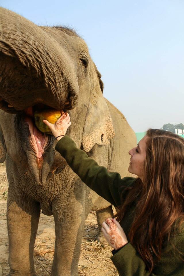 ncsu_fsc's tweet photo. You may know her as your President but around here Savana is known as the animal whisperer. She works at a vet, is surrounded by animals on her family farm, and she’s done research on zoonotic pathogens at agrotourism farms and zoos.[https://t.co/IJLhHUnvaM] https://t.co/a3S16aARSj