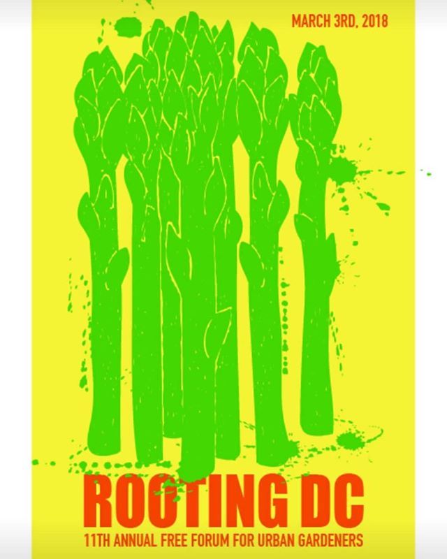 CityBlossoms's tweet photo. Our ED, Rebecca, had so much fun designing some rockin' new artwork for #RootingDC2018 🌿
.
We hope to see you there tomorrow, bright and early! Check out the full workshop list here: https://t.co/VGUFSsnYEp
.
#RootingDC #perennial #growtogether #dcgrown #dc #foodaccess #cit… https://t.co/QngHbLWdZg
