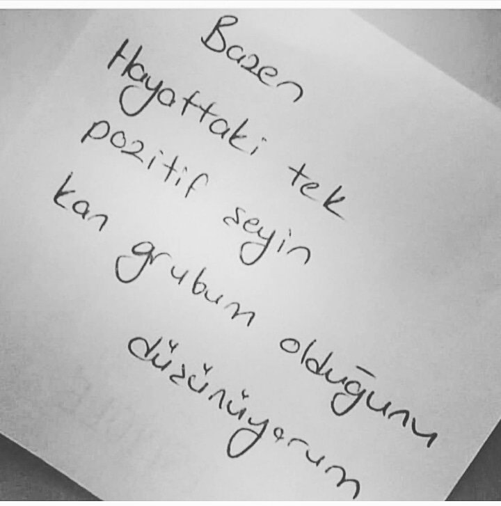 Şehri Koral (@sehrikoral) on Twitter photo 