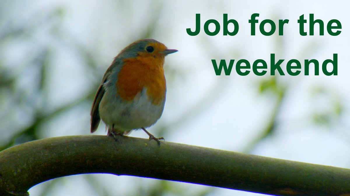 Our feathered friends need us more than ever in these wintry conditions, so please give them fresh food and water if you're able to venture out. If you haven't got any bird food, apple cores or small amounts of finely grated mild cheese would be better than nothing 🙂🦆🦉