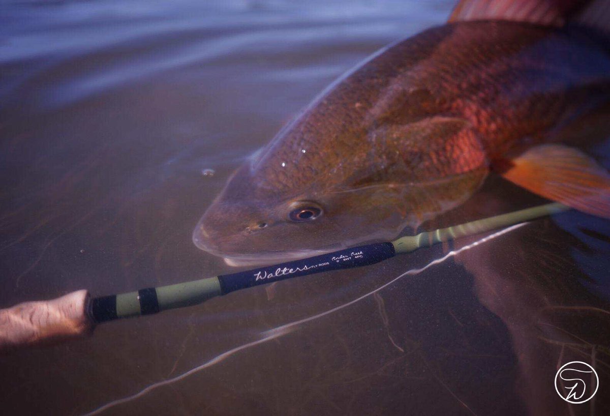 South Carolina Red | Photo: Josh Taylor #waltersflyrods #cindercreek8wt