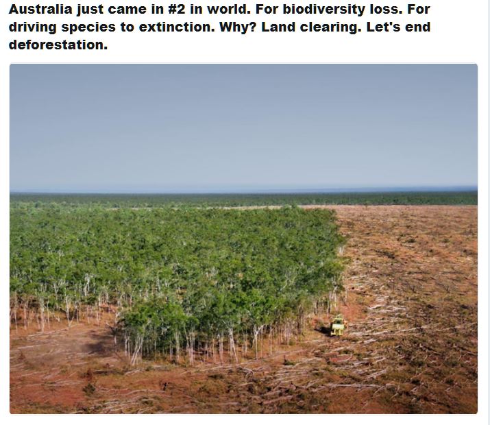 raythemouse's tweet photo. Not only Queensland but Australia as a whole loses so much when #RainForests are destroyed for short term gain.
#AnimalHabitats
#EndangeredSpecies
Yet to be discovered cures for disease⚕️
#LessRainfall
#ClimateChange https://t.co/UBX735Zuit