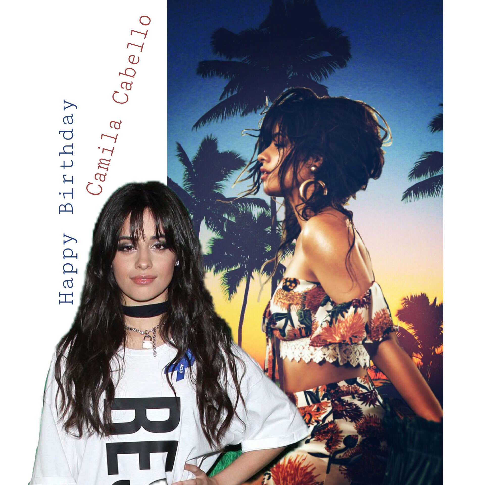 Happy Happy Birthday    Camila 