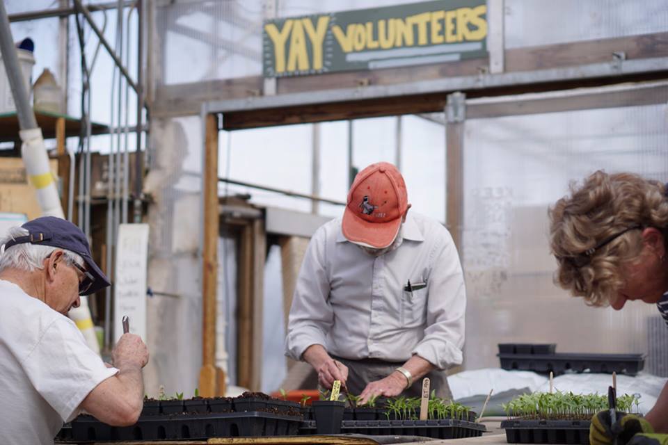 GrowingGardensB's tweet photo. Happy Friday, gardeners! Use this warmer weather to get jumpstarted on your garden plans by joining us for a Gardening Planning and Design class on March 17th! #bouldergardener #gardening #gardendesign #gardenclasses #organicgardening https://t.co/ghfRBceqvc