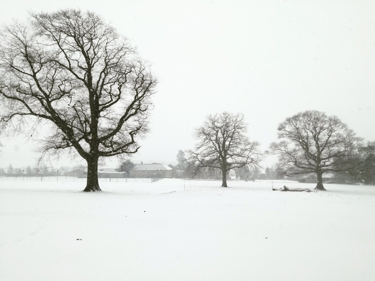BoardingTMS's tweet photo. Stunning snowday @tockington_manor_school @BoardingTMS 😍❄️☺️ https://t.co/Ew2AvX6f4n