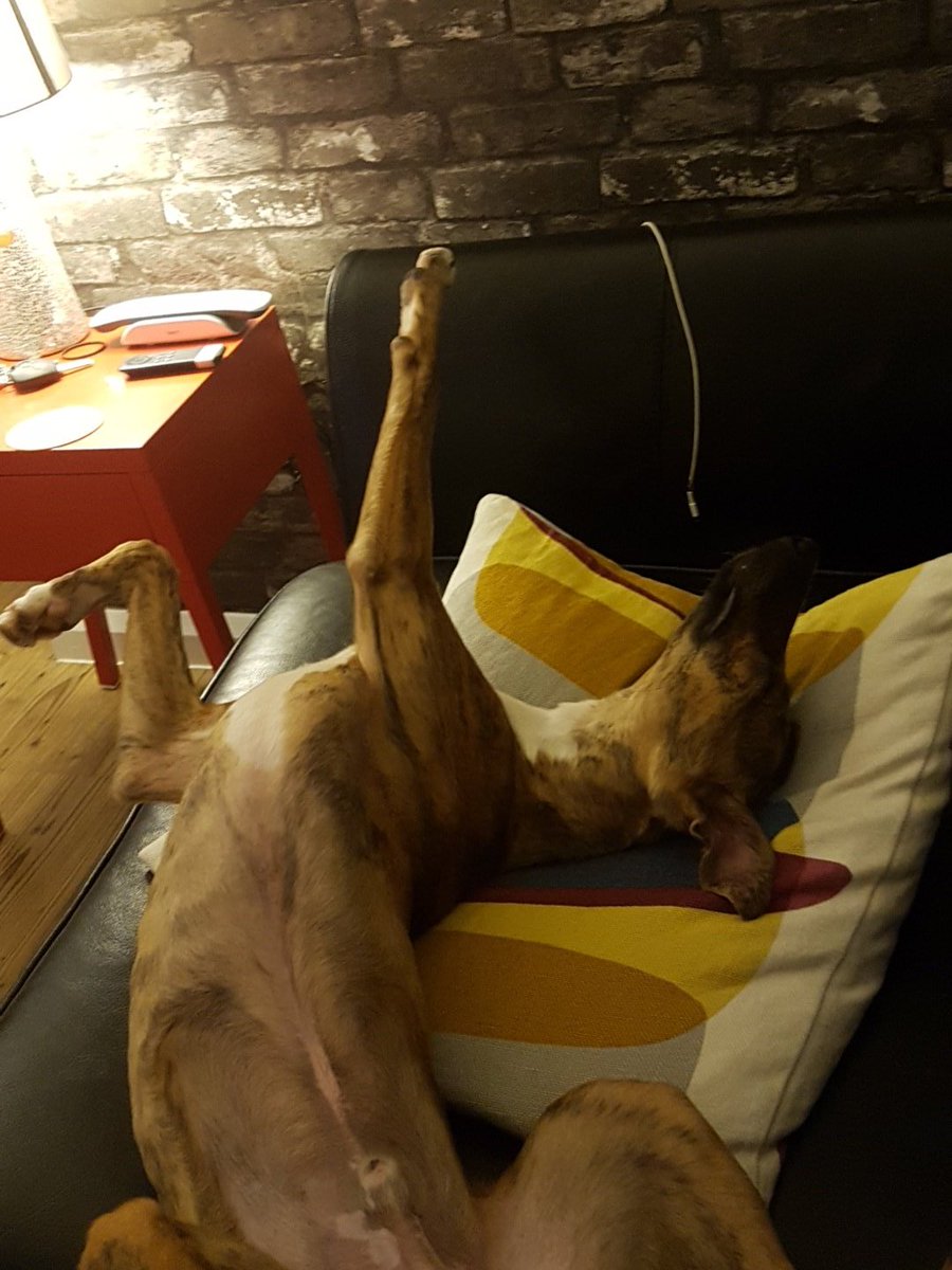 I've been lying here for 10 minutes now. Hurry up and take a pic!