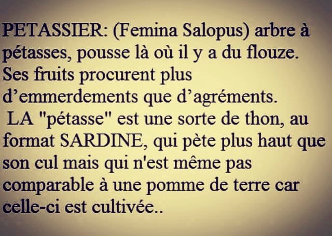 OphelieWinter's tweet photo. https://t.co/5uGZJxM37Q